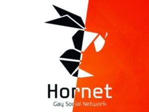 راه‌اندازی کارزار جهانی جرم‌زدایی از اقلیت‌های جنسی توسط هورنت